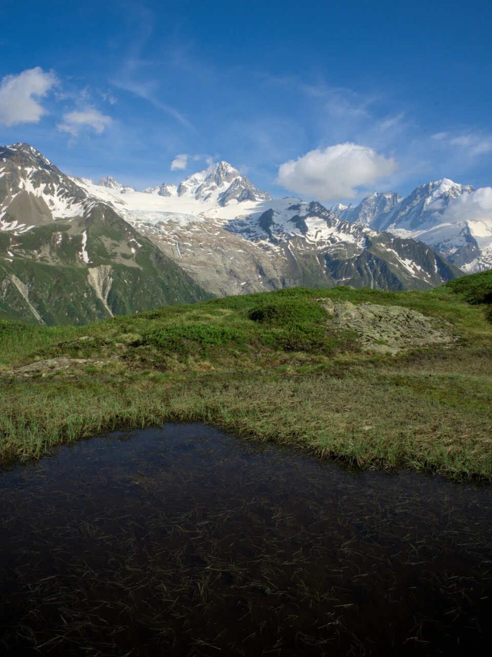 Alpine pond and the Aiguille du Chardonnet on the way to the Col de Balme