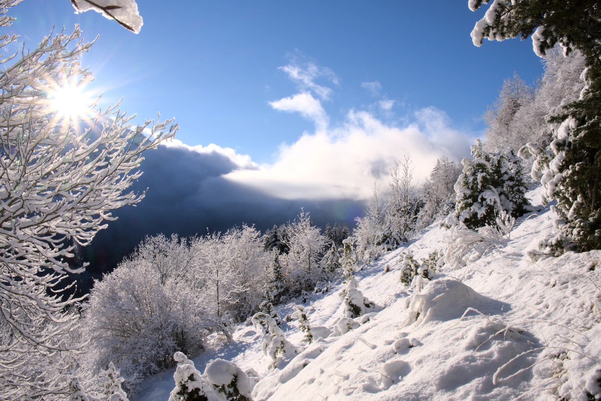 snowy landscape in the Champsaur