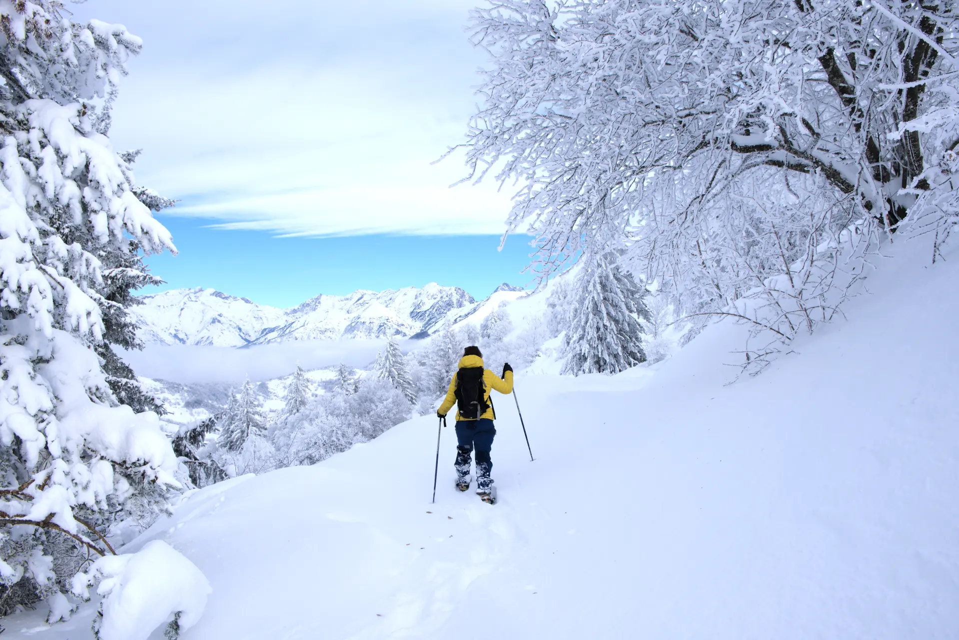 Snowshoeing in the French Alps 2026 - Guided Outings