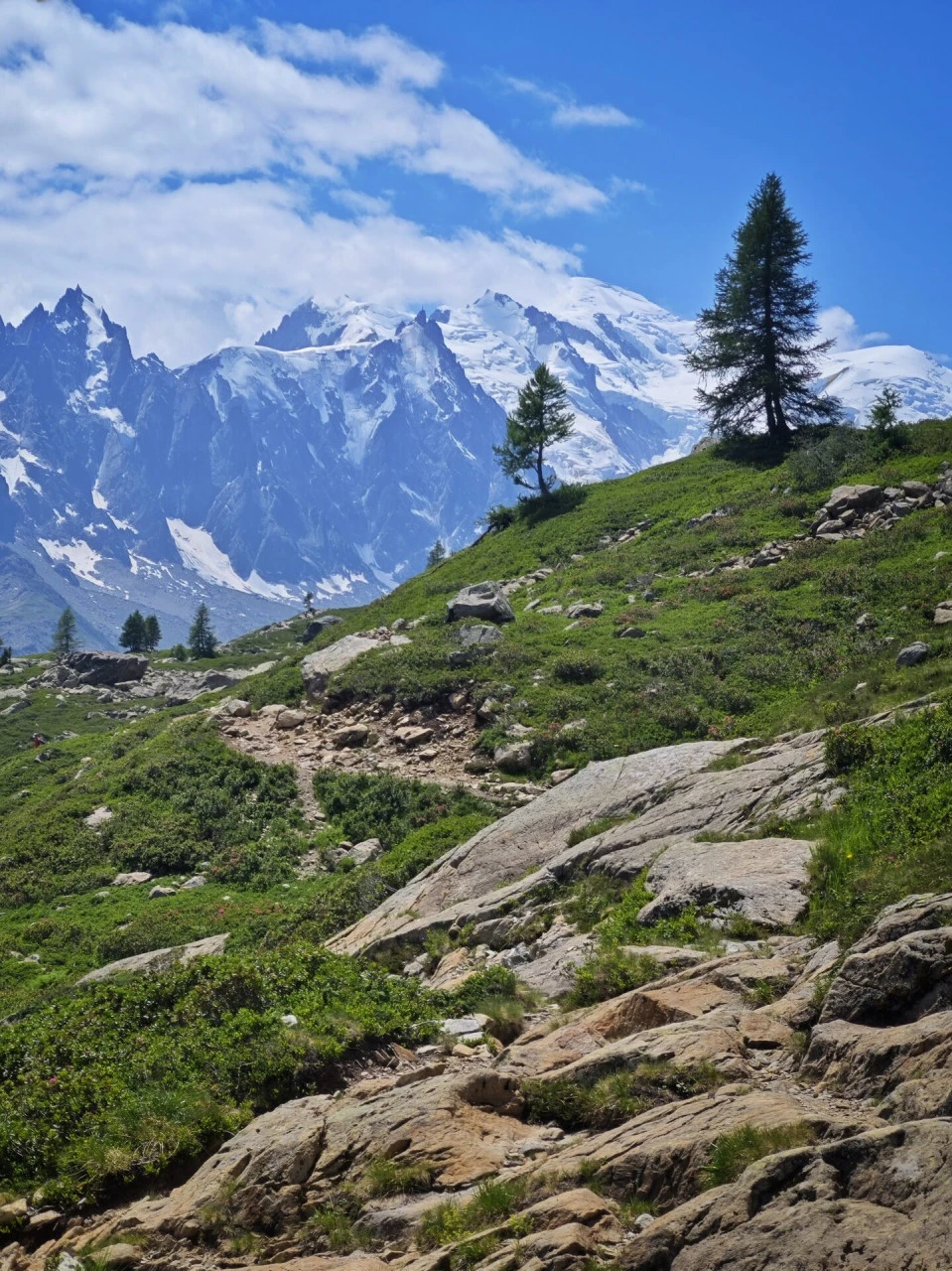 The track above the col des Montets, the Mont-Blanc massif facing you the whole way up